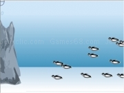 Jouer à Kill pinguin